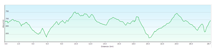 Perfil ruta corta Nuez